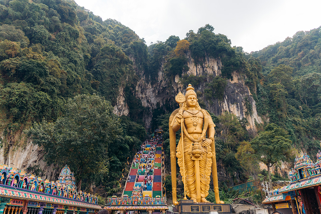 Special Occasion Last